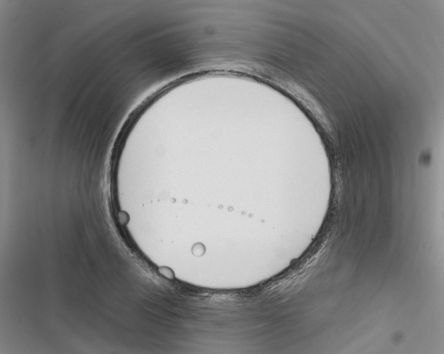 X0000116821028201001151200