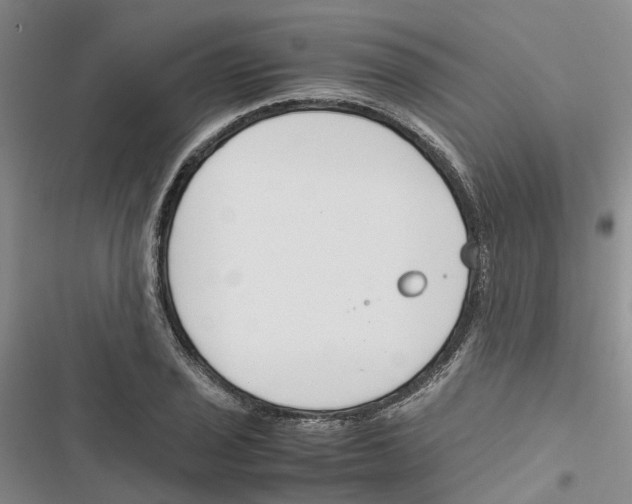 X0000116821029201001151200