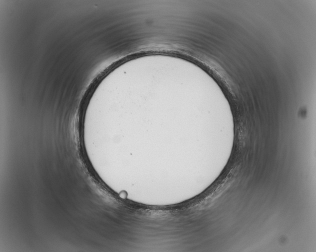 X0000116821030201001151200