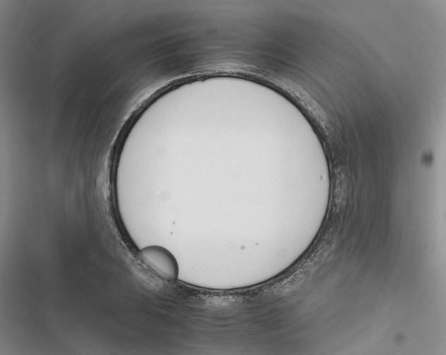 X0000116821031201001151201