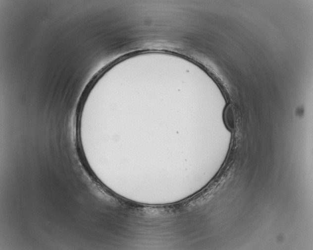 X0000116821032201001151201