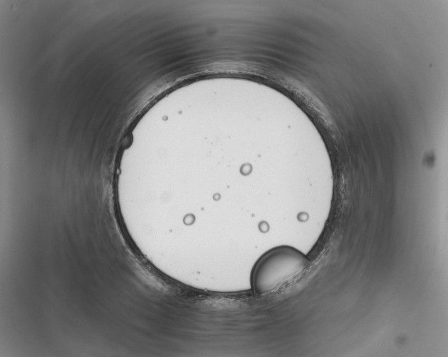 X0000116821033201001151201