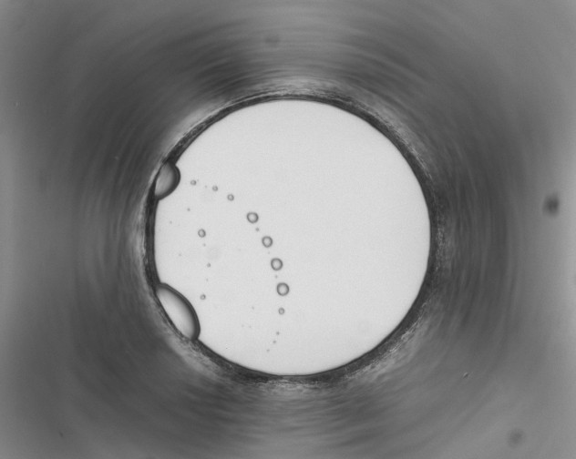 X0000116821034201001151201