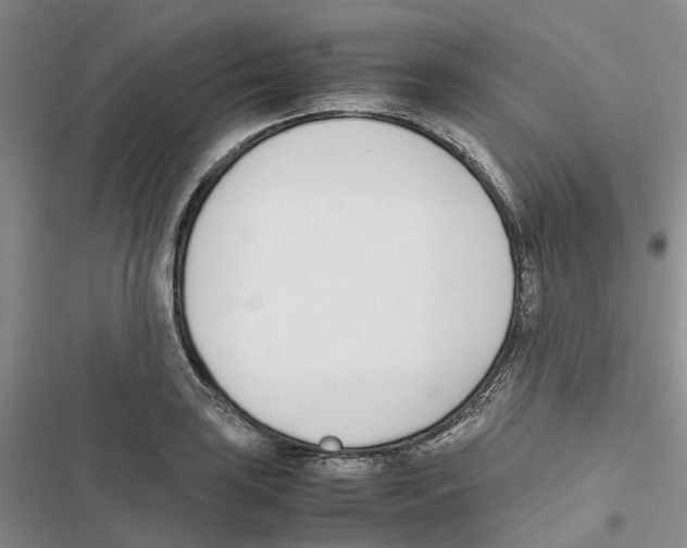 X0000116821035201001151201