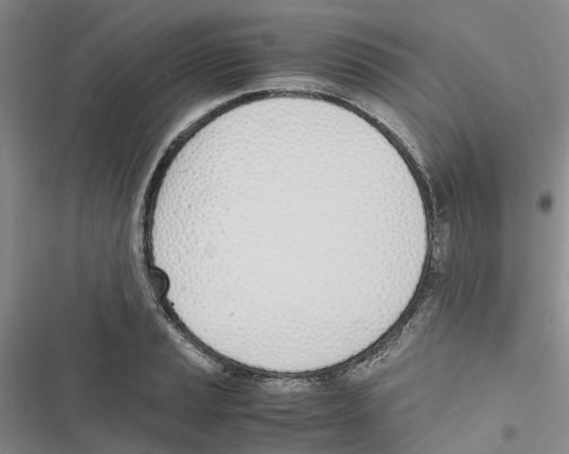 X0000116821037201001151201