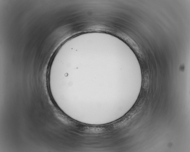 X0000116821039201001151201