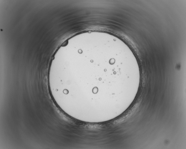 X0000116821041201001151201