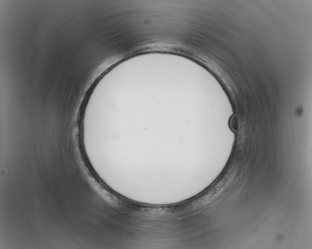 X0000116821042201001151201