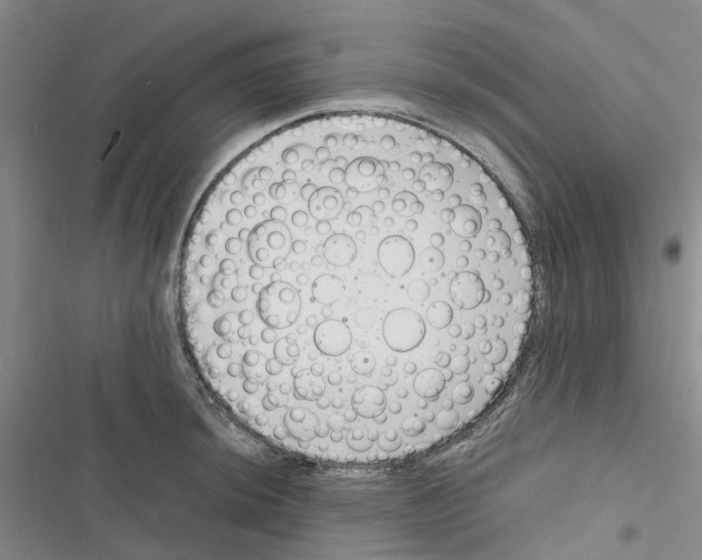 X0000116821044201001151201