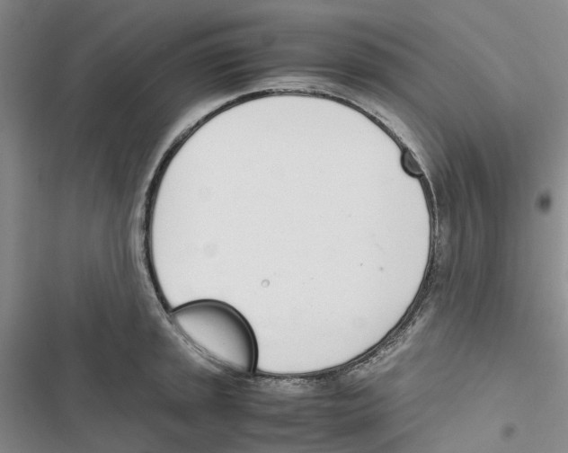 X0000116821045201001151201