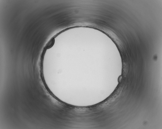 X0000116821046201001151201