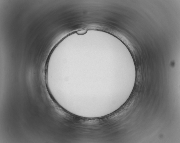 X0000116821047201001151201