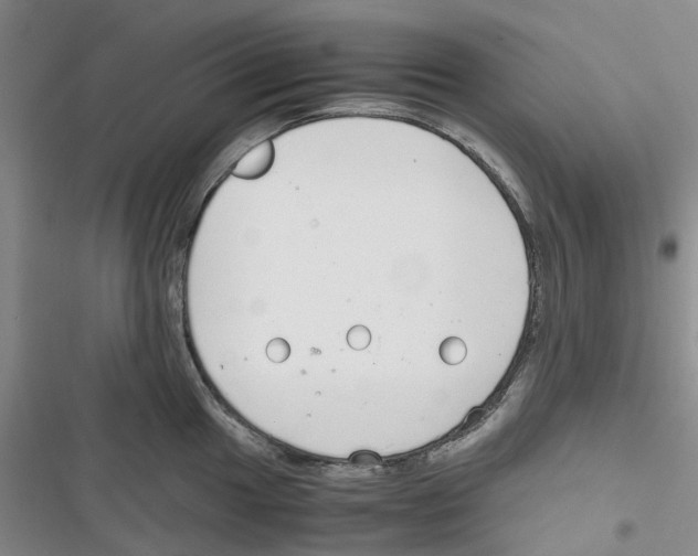 X0000116821049201001151201