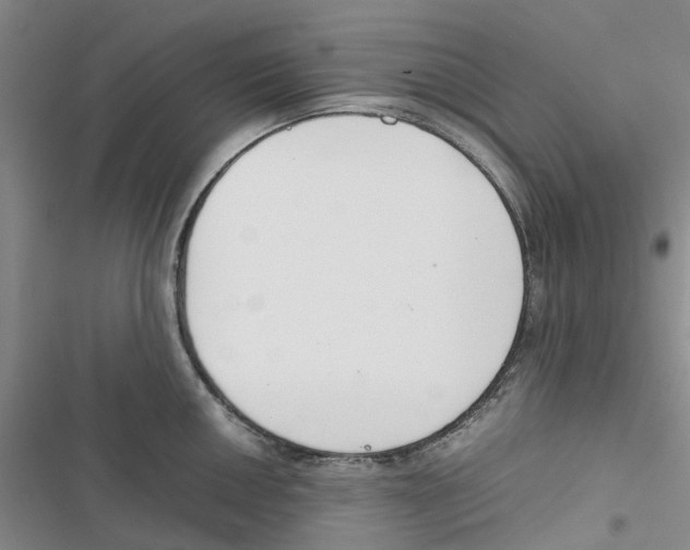 X0000116821050201001151201