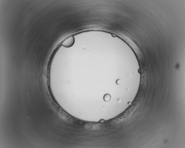 X0000116821051201001151201