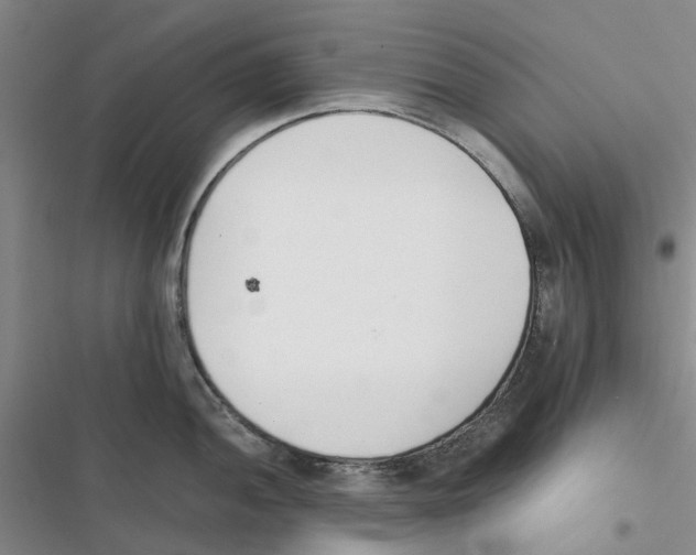 X0000116821052201001151201