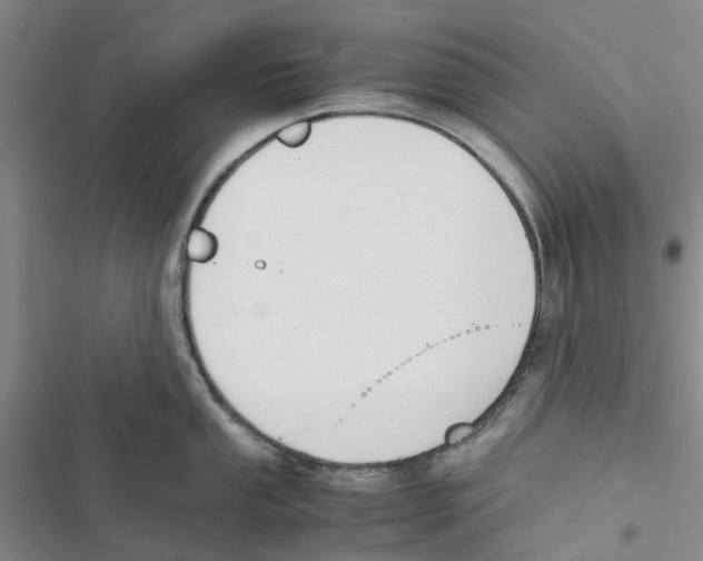 X0000116821053201001151201