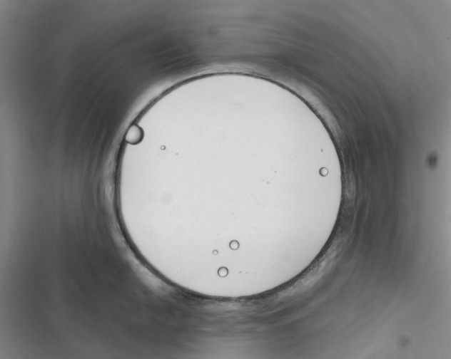 X0000116821054201001151201