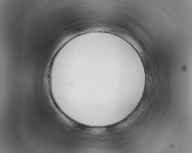 X0000116821055201001151201