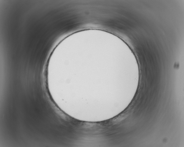 X0000116821056201001151201