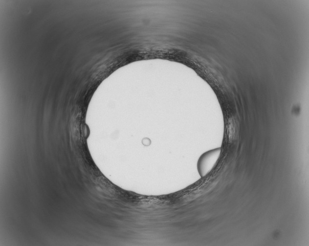 X0000116821059201001151200