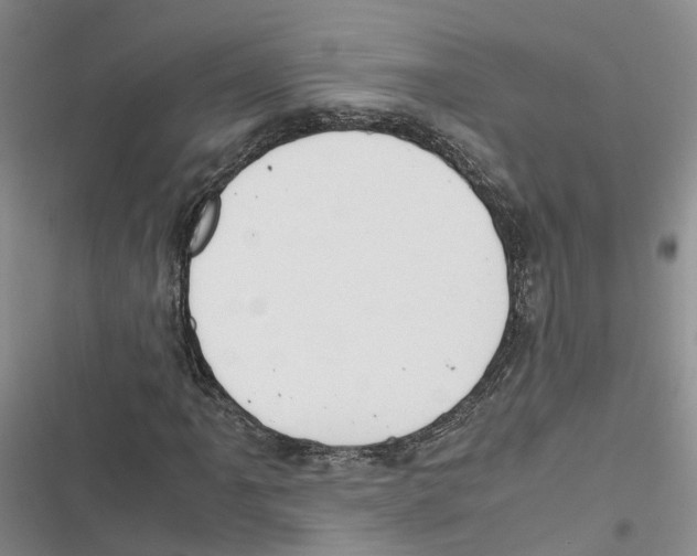 X0000116821061201001151200