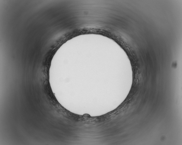 X0000116821062201001151200