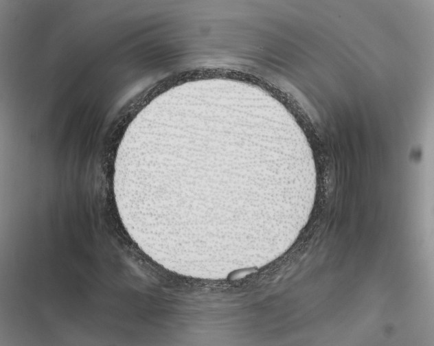 X0000116821064201001151200