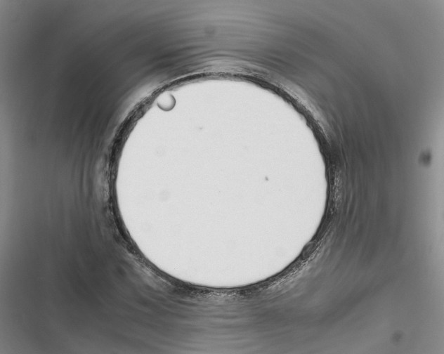 X0000116821067201001151200