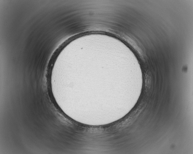 X0000116821068201001151200