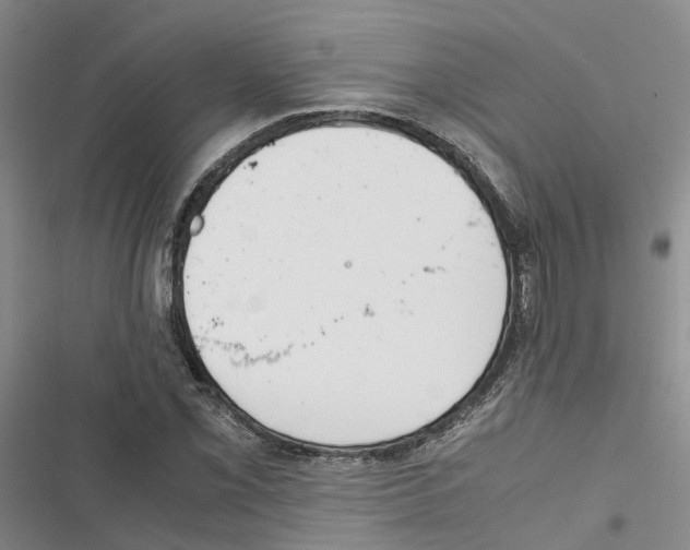 X0000116821069201001151200