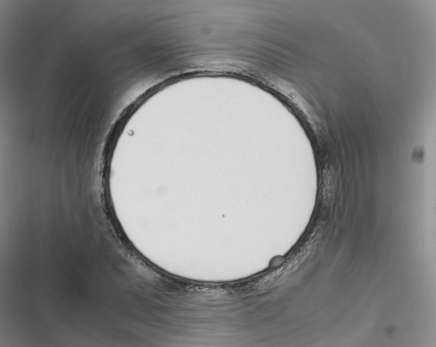 X0000116821071201001151200