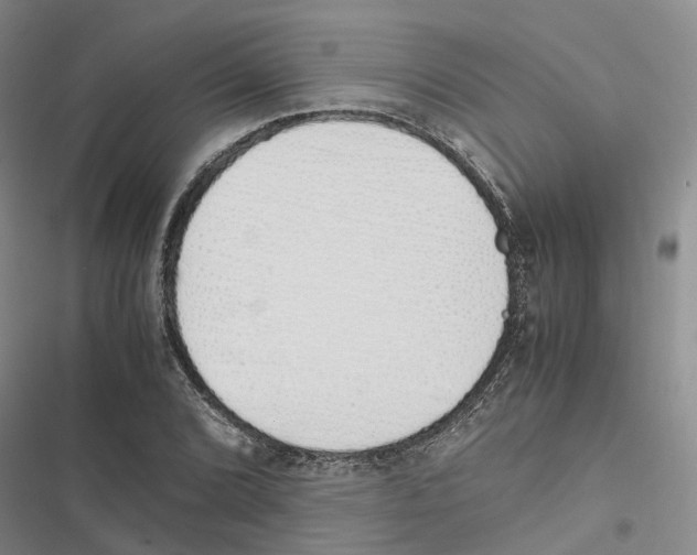 X0000116821072201001151200