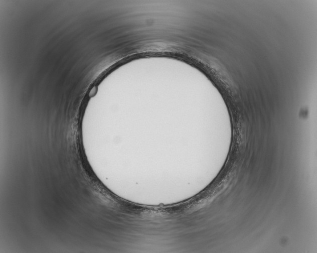 X0000116821073201001151200