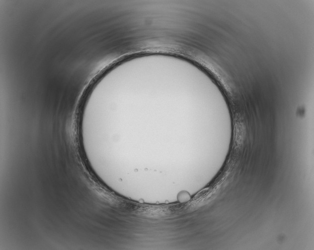 X0000116821074201001151200