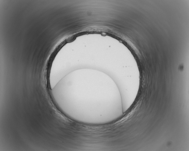 X0000116821075201001151200