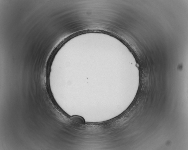 X0000116821076201001151200