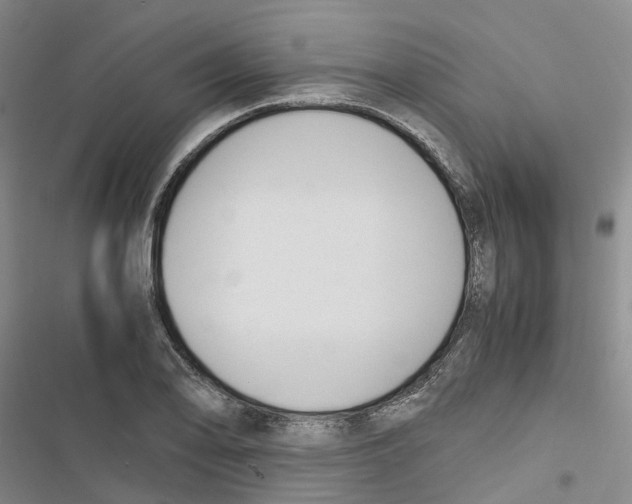 X0000116821078201001151200