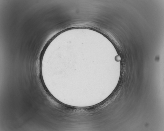 X0000116821079201001151200