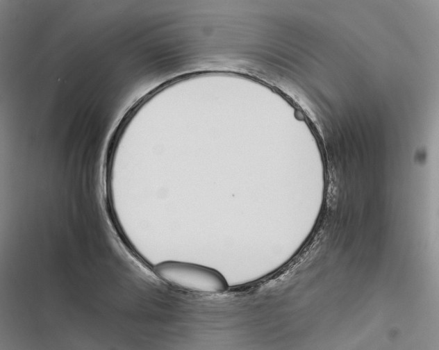 X0000116821080201001151200