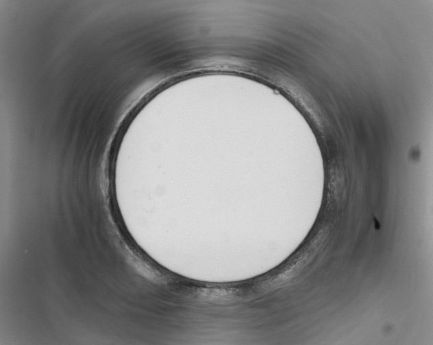 X0000116821082201001151200