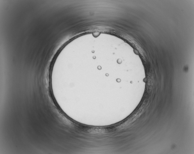 X0000116821083201001151200