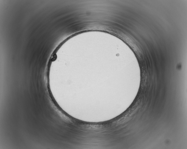 X0000116821084201001151200