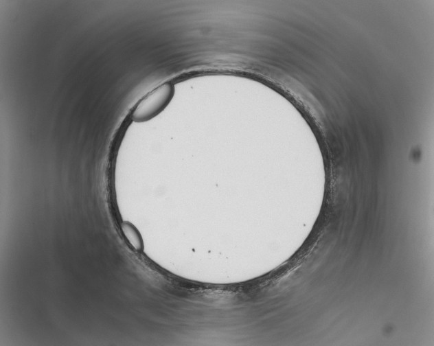 X0000116821085201001151200