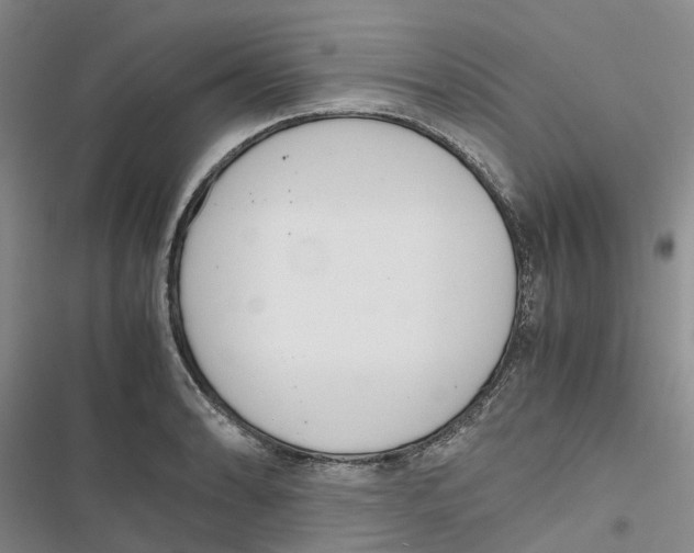 X0000116821086201001151200