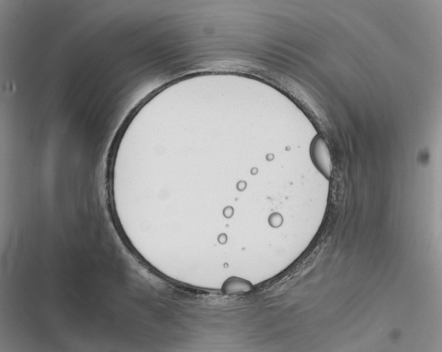 X0000116821087201001151200