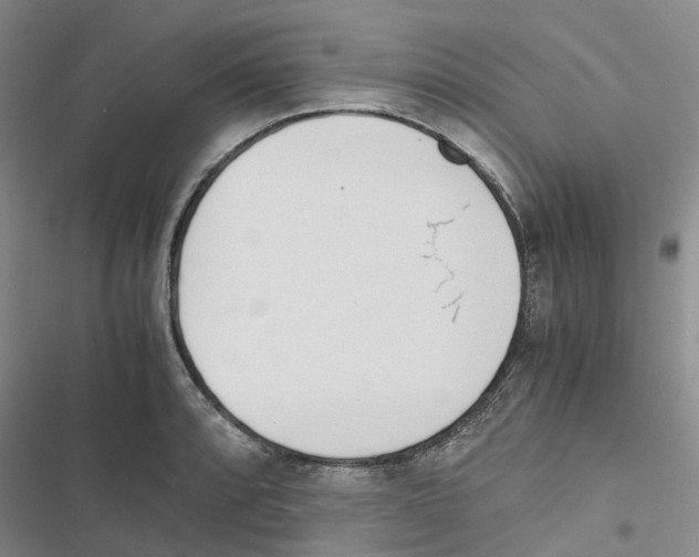 X0000116821088201001151200