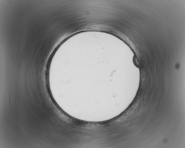 X0000116821091201001151200