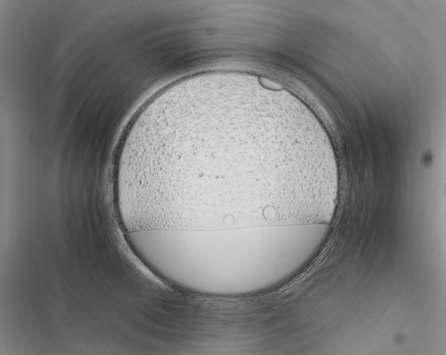 X0000116821092201001151200