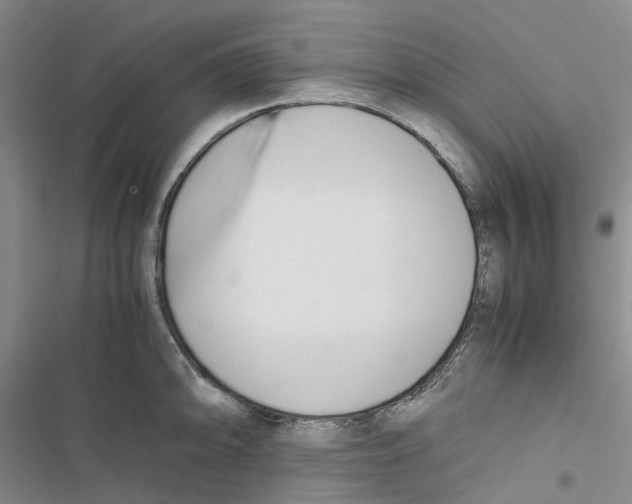 X0000116821094201001151200